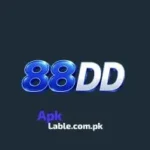 88DD Game
