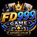 FD999 Game