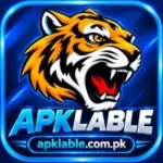 RM666 Game APK Download Free for Pakistani Android Users